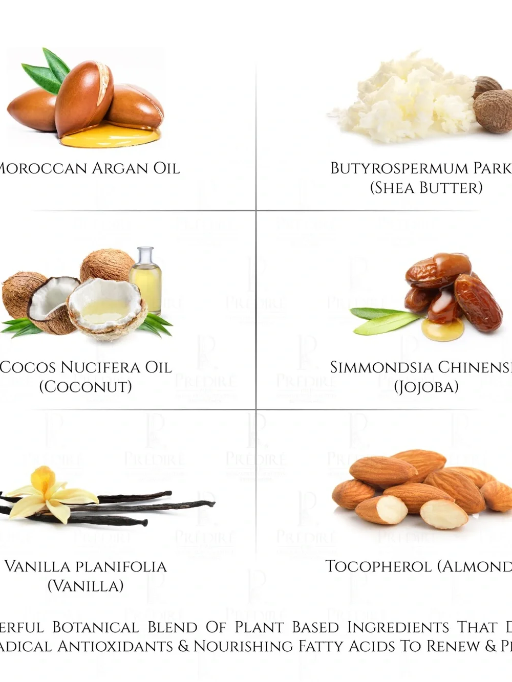 Prédiré Almond Vanilla Sea Salt Body Scrub - 10.5 fL oz